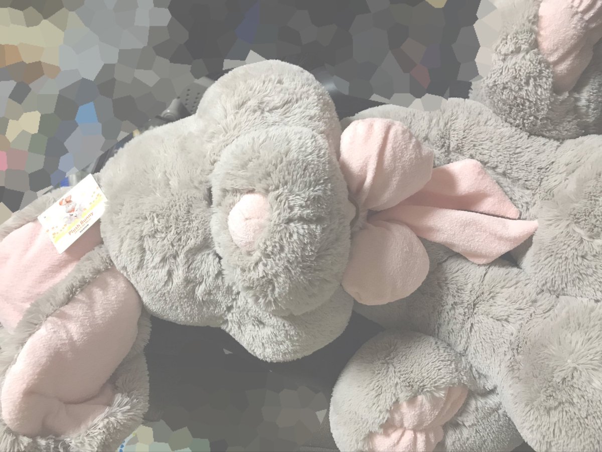 大 倉 み ゆ う コストコのうさぎのぬいぐるみ買ってもらった