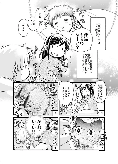 【お知らせ】2月16日(土)発売💫
雑誌『ねことも4月号』に「ちたにゃんがきた!」の最新話が掲載されました。裏庭で保護した茶色い仔猫のお話の続きです。どうぞよろしくお願い致します～🐾 