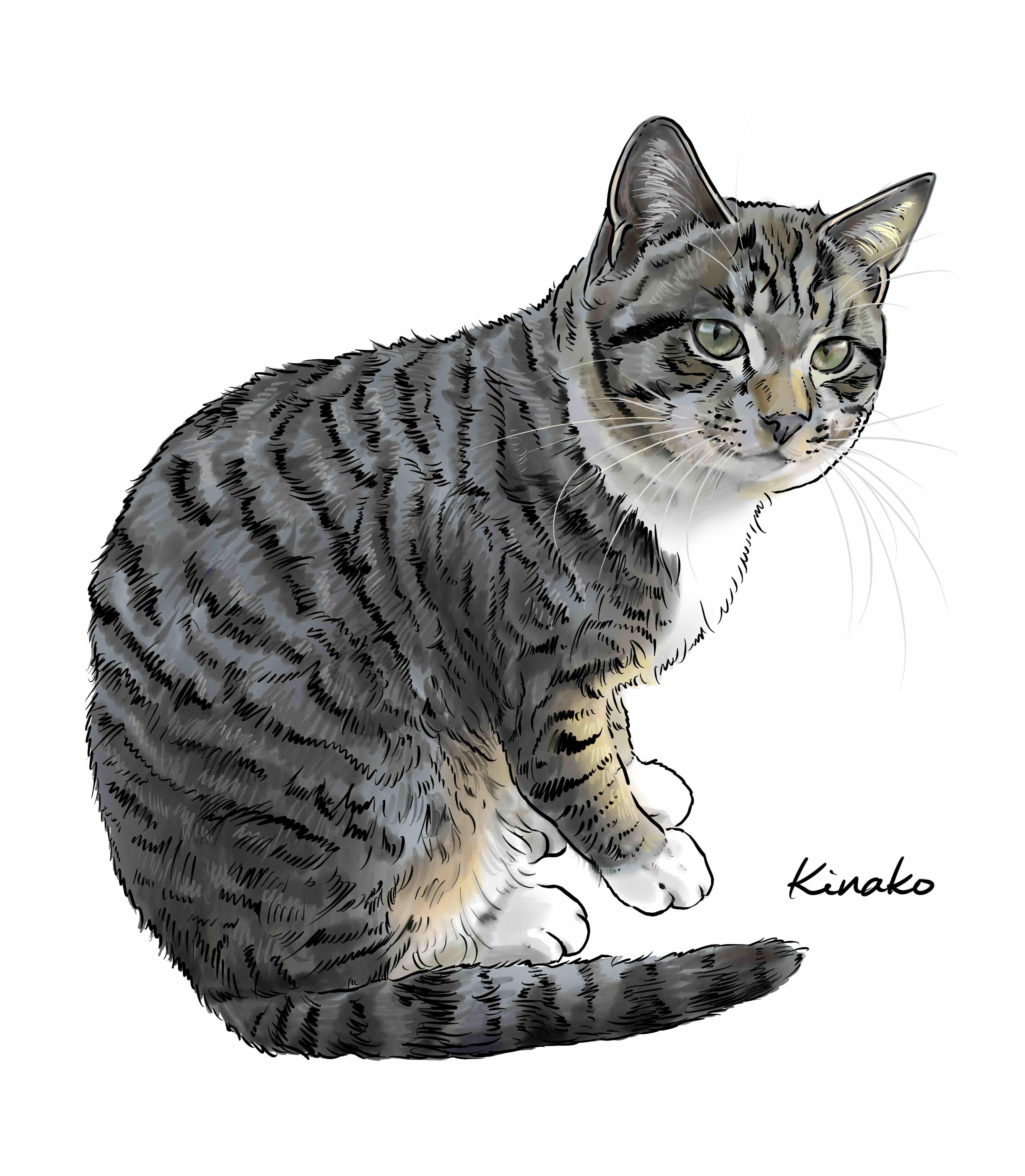 きなこ(猫の絵を描いています） على X: 