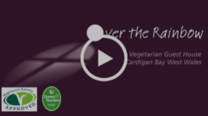 2019 News &amp; Events at Over the Rainbow, Cardigan Bay - mailchi.mp/45432ea896de/2…