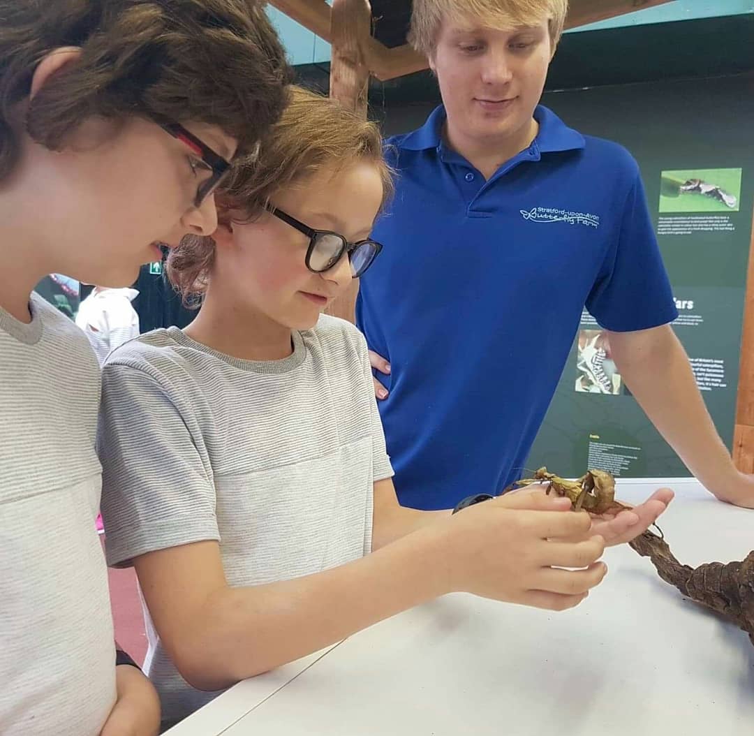 #meettheminibeasts our fabulous handling sessions for all the family start today in the Discovery Zone. Twice a day every day during #halfterm 🌻🐛🐌🌺butterflyfarm.co.uk/attraction/ <a href="/ShakespearesEng/">Shakespeare’s England</a> <a href="/Brummiemummies/">Brummiemummies</a> @FamilyNetSUA <a href="/ATOwarwickshire/">A Taste of Warwickshire</a>