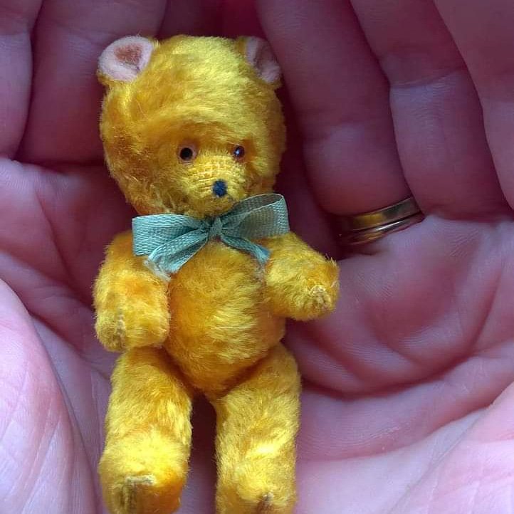 TrekiMaria's tweet image. Mini Teddy❣✌