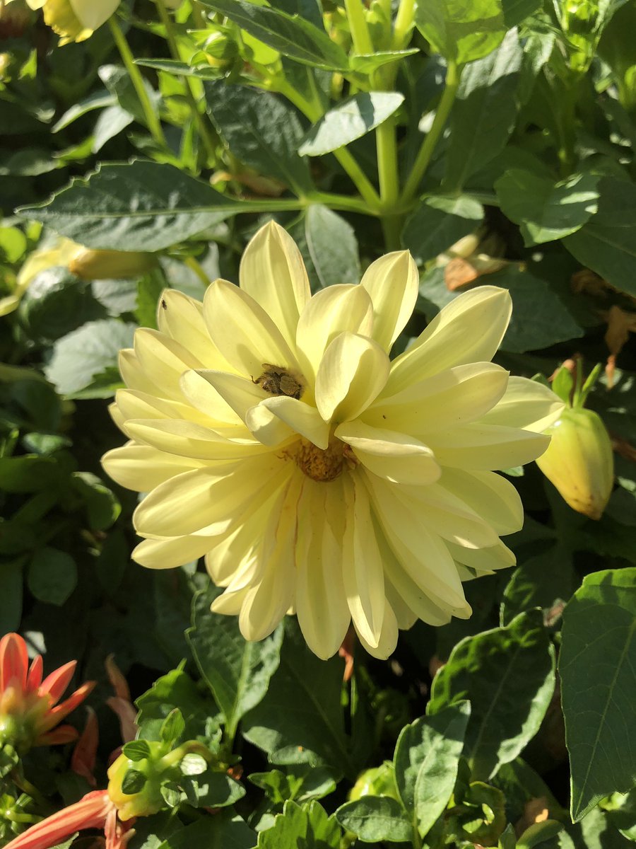 Murray’s Funeral Directors (@murraysfunerals) on Twitter photo 