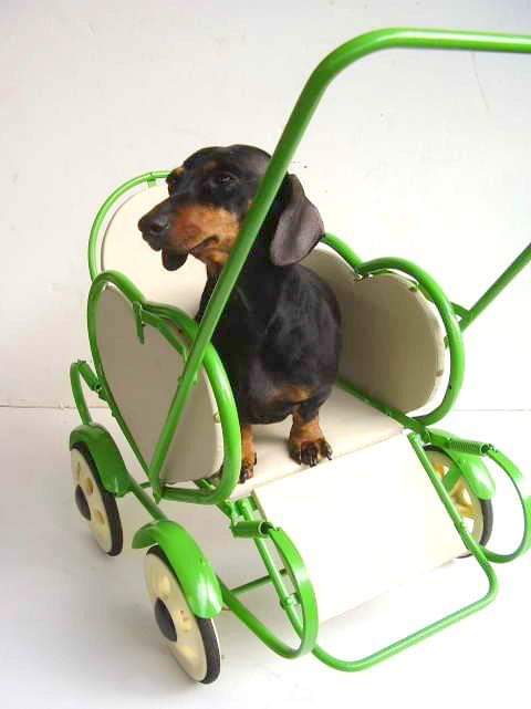 TrekiMaria's tweet image. Hédike ❣❣❣❣