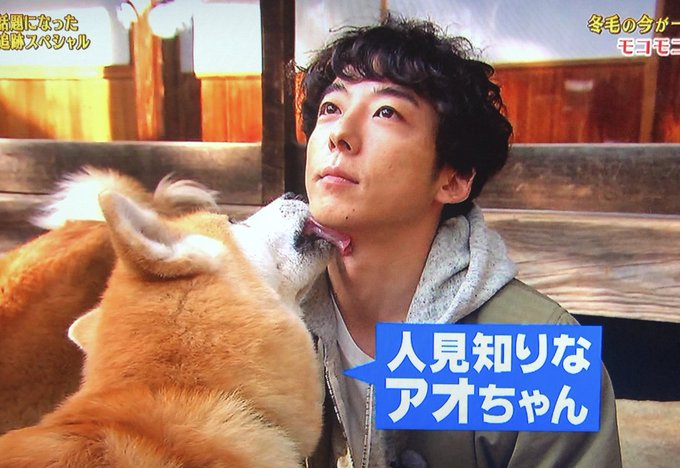 高橋一生 X 秋田犬 がトレンドに Funnitter ファニッター