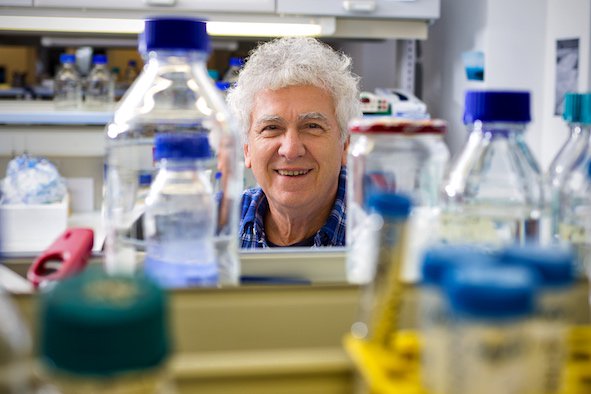 humensciences's tweet photo. La bonne humeur et la passion se partagent dans l'équipe du professeur Miroslav Radman ! Les recherches menées au #MedILS (Split, Croatie) sont à découvrir dans "Le code de l'immortalité" 📖 https://t.co/qOYcT9eKbX