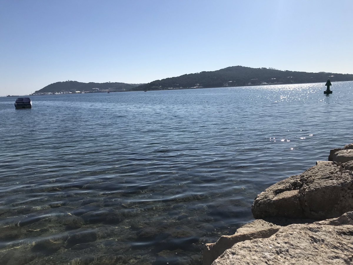 leszacrau's tweet photo. Un petit coucou à tous les anti-Toulonnais☀️🏖😎👍🏻😜 #REGIONDEMERDE https://t.co/U9wAIlWSD1