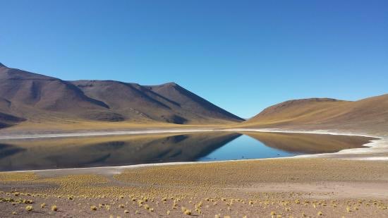 GOREAntofagasta's tweet image. Invitamos a los turistas para que disfruten de la belleza y bondades de las lagunas Miscanti y Miñiques, pertenecientes a la Reserva Nacional Los Flamencos, que a partir de hoy están abiertas al público.  @minagriantof  @conafminagri  @CONAFantof