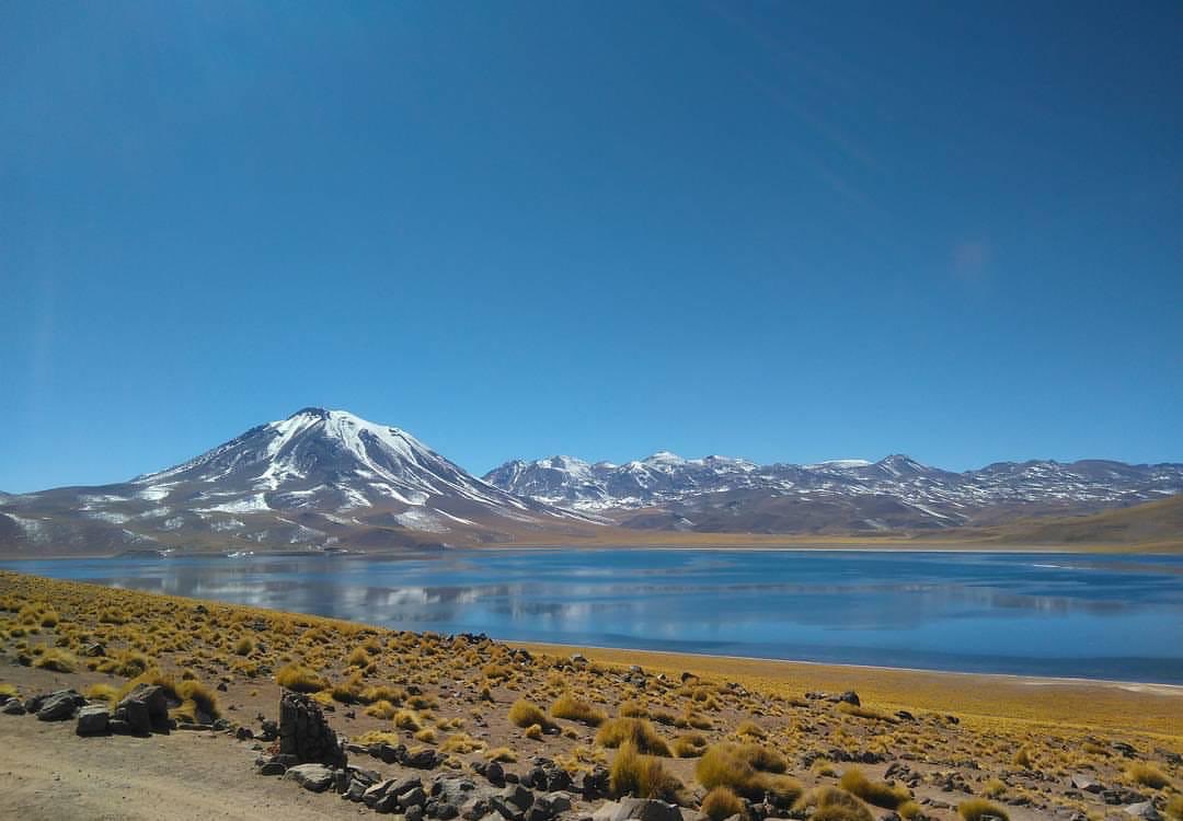 GOREAntofagasta's tweet image. Invitamos a los turistas para que disfruten de la belleza y bondades de las lagunas Miscanti y Miñiques, pertenecientes a la Reserva Nacional Los Flamencos, que a partir de hoy están abiertas al público.  @minagriantof  @conafminagri  @CONAFantof