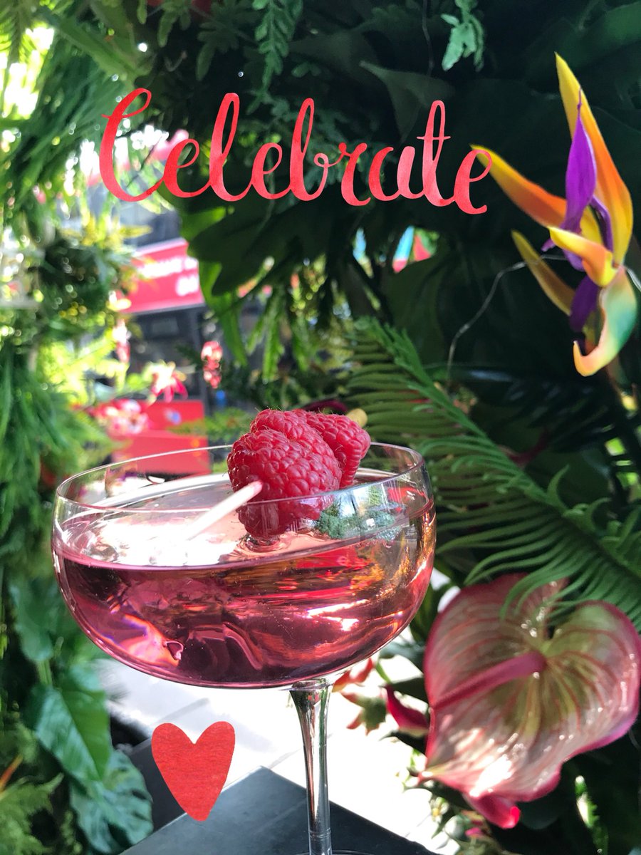 Little Bird tweet media