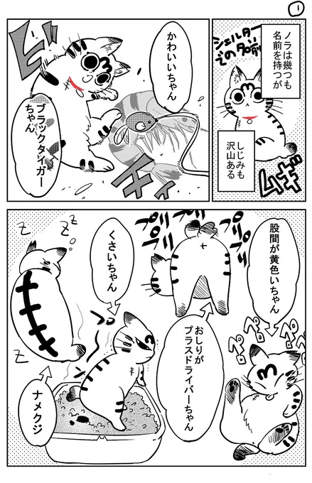 猫飼いました28 