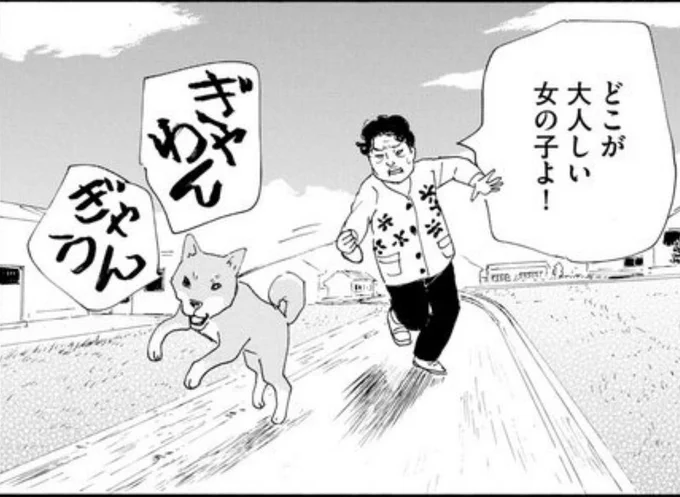 コミックビーム連載の「父のなくしもの」の柴犬ミミちゃん。写真がこんなのしかなくて残念。家族以外には必ず吠えてた。私は東京に住んでるので大きくなってから初対面したけど吠えられなかった。匂いが同じなのかしら。散歩に行くよって小屋から出すと嬉しくてぴょんぴょん跳ねるの可愛かった。 