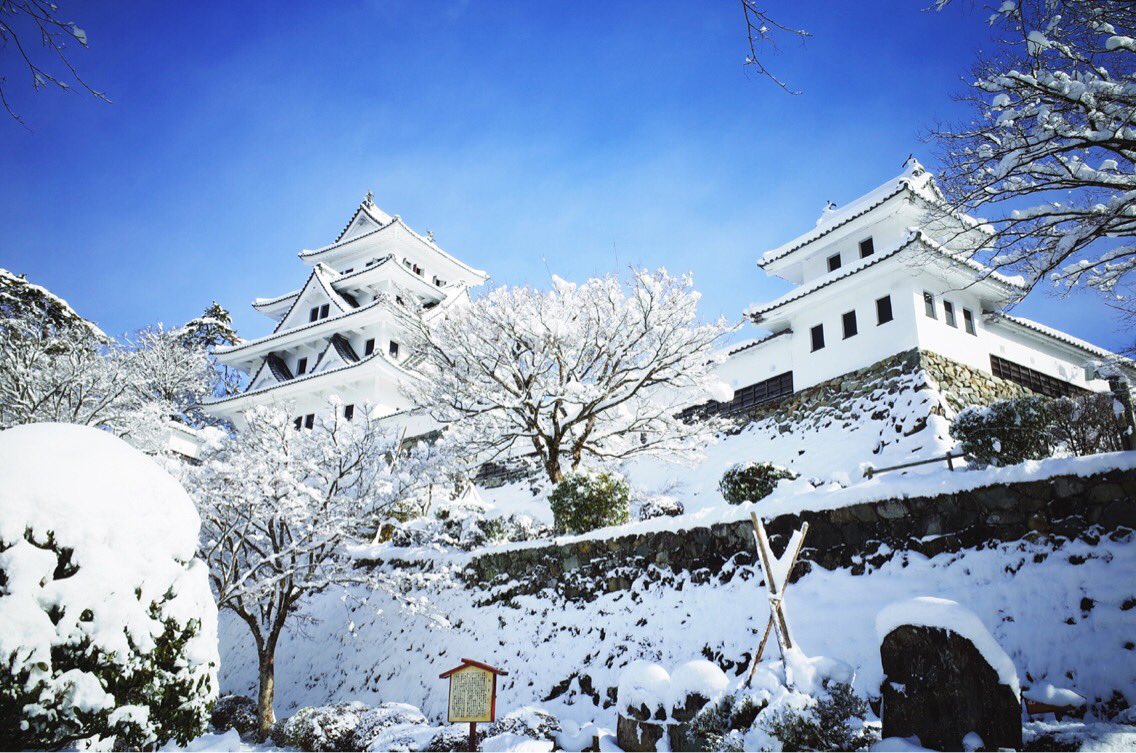 およしちゃん در توییتر 昨年のこの時期にはまんだ雪があったんなぁ お城も一面雪景色でした 今年はこのまま雪積もらずに過ぎてまうんかなぁ 郡上八幡城 郡上八幡 冬景色 18年