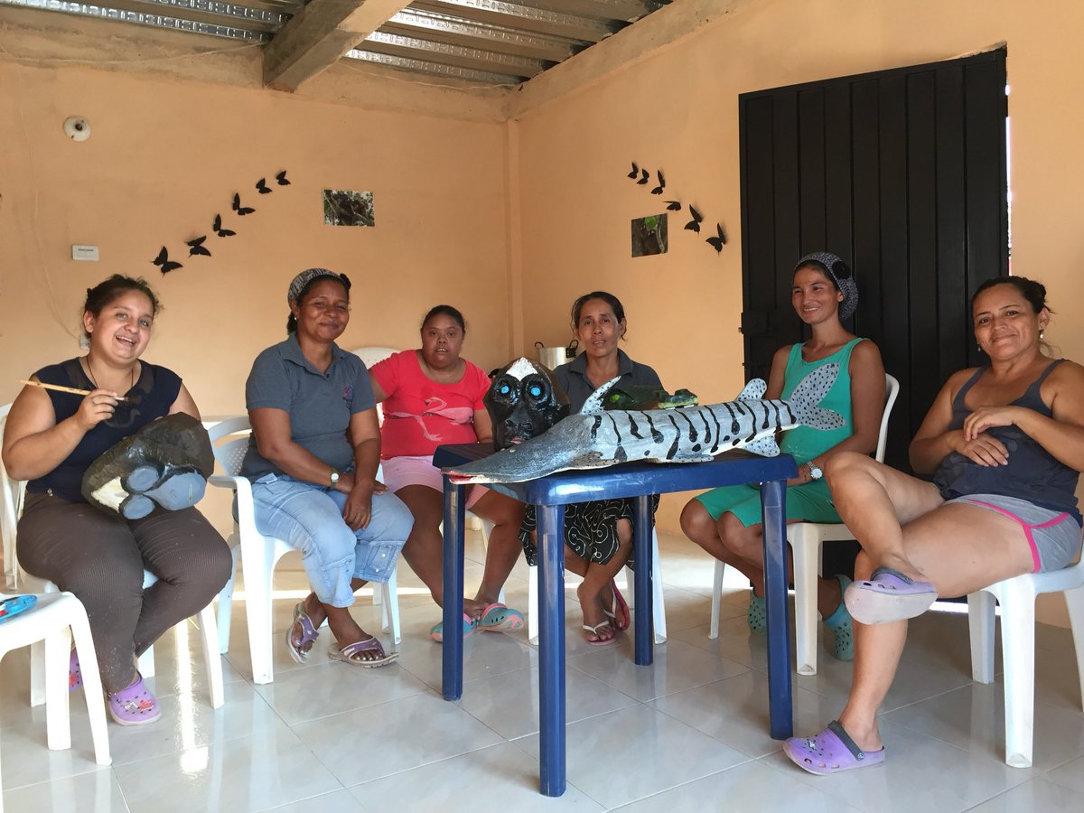 gymnopez's tweet photo. Cuando procesos de conservación permean la cultura y fortalecen la asociatividad el aporte es muy significativo, no sé cuantos ejemplos hay como el festival del Choibo y sus amigos en Bocas del Carare, Magdalena Medio. Si los conocen por favor compartir! Hay que visibilizarlos https://t.co/jqkT65SzGD