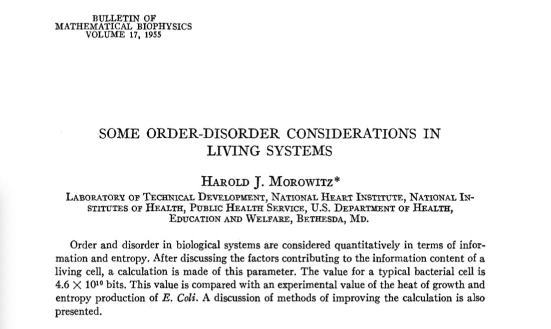 buy buy Thrombolytic Therapy in Acute Ischemic Stroke 1991