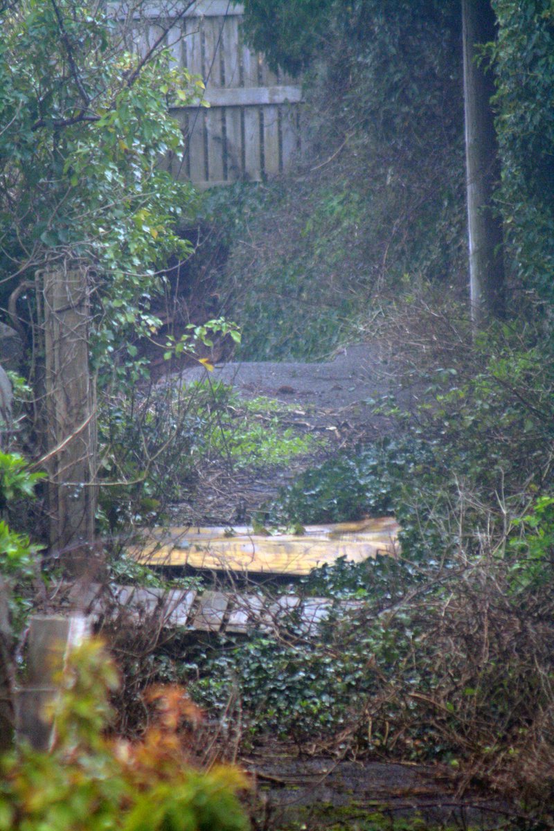 Do you or anyone you know have any stories or photos of using the path along Pointfields?  If so, could you please share them with us by the 22nd of February so we can make them part of our presentation for funding to help reopen the path?