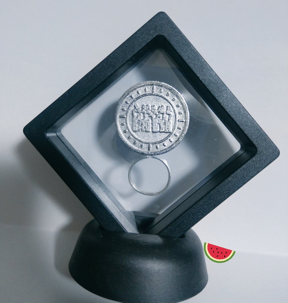 セリアで買った ネイルディスプレイスタンドに10th anniversaryコイン🥈とリング💍を入れてみた😊コイン裏6人のシルエットもいい感じ💗❤️💚💙💛💜  #2PM10thAnniversary