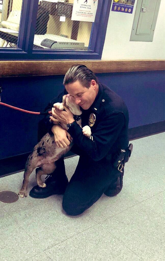 LAPDHQ's tweet image. Meet my heroes.

When I was stolen and taken to L.A., @NapervillePD and the LAPD joined forces to rescue me — but I have a question...I checked the weather and it’s cold/snowy back home. Can you pull some strings and let me enjoy some sunny SoCal weather for a couple extra days?