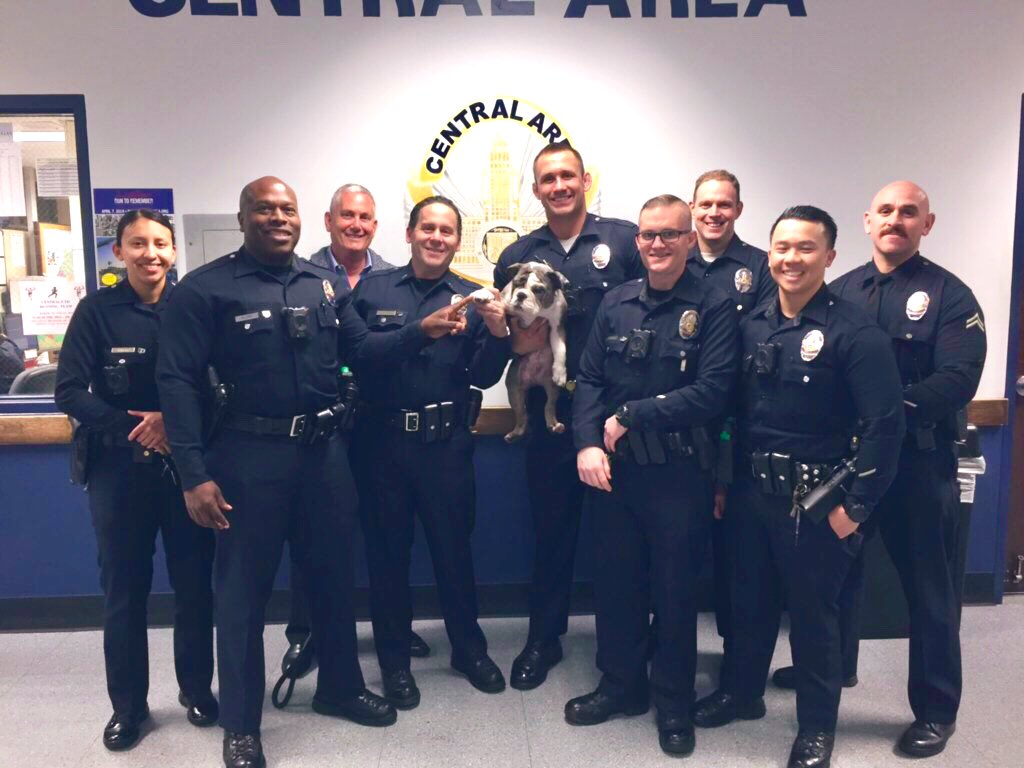 LAPDHQ's tweet image. Meet my heroes.

When I was stolen and taken to L.A., @NapervillePD and the LAPD joined forces to rescue me — but I have a question...I checked the weather and it’s cold/snowy back home. Can you pull some strings and let me enjoy some sunny SoCal weather for a couple extra days?
