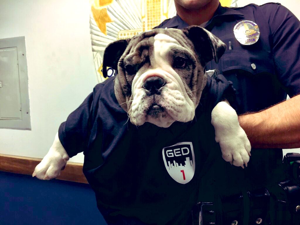 LAPDHQ's tweet image. Meet my heroes.

When I was stolen and taken to L.A., @NapervillePD and the LAPD joined forces to rescue me — but I have a question...I checked the weather and it’s cold/snowy back home. Can you pull some strings and let me enjoy some sunny SoCal weather for a couple extra days?