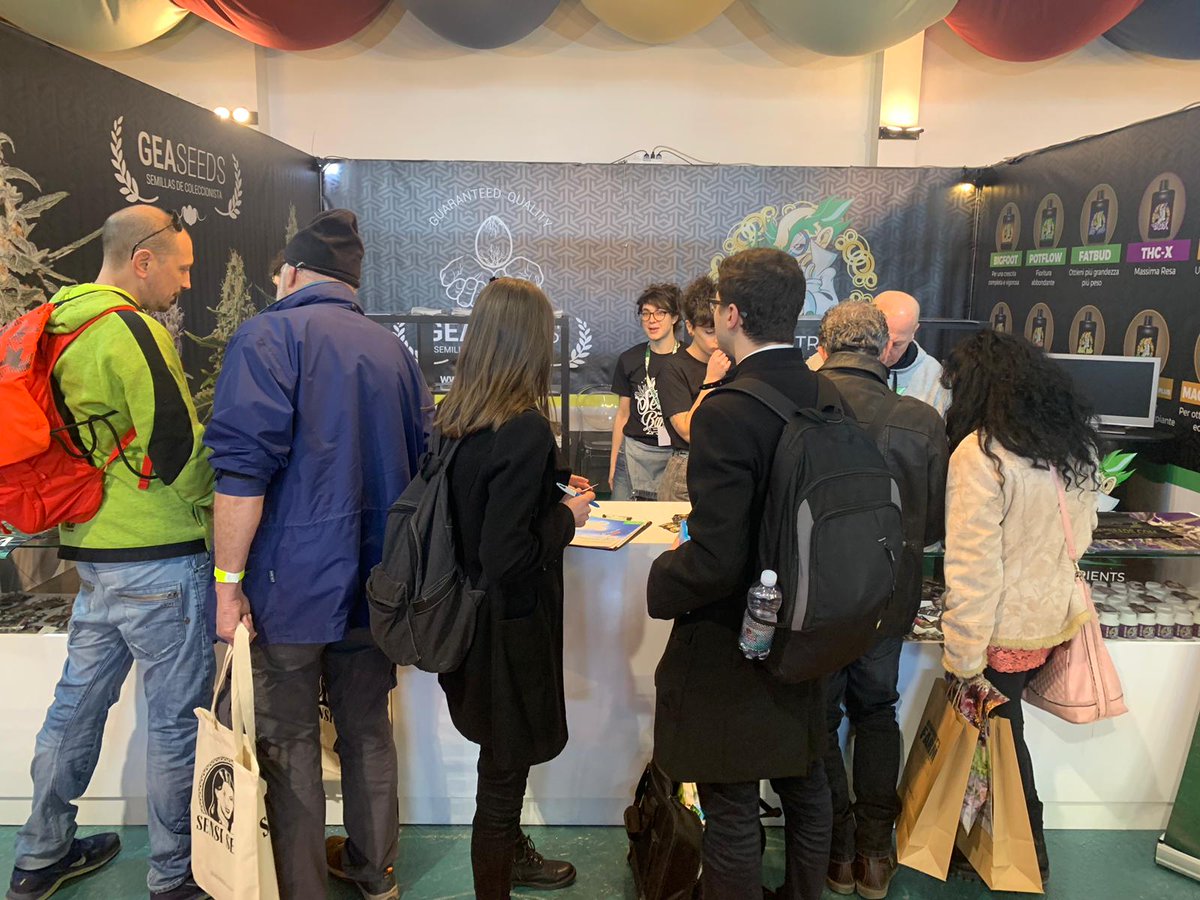 GeaSeeds's tweet photo. Seguimos en @CanapaMundi con nuestros amigos de @THC_NUTRIENTS , pasaros por nuestro STAND E2 !!! Mañana último día! #Geaseeds #Canapamundi #thcnutrients #gea #rome https://t.co/dJzVuVnFBh