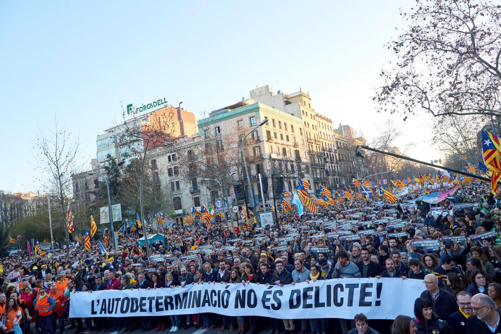 Mostra la imatge al Twitter