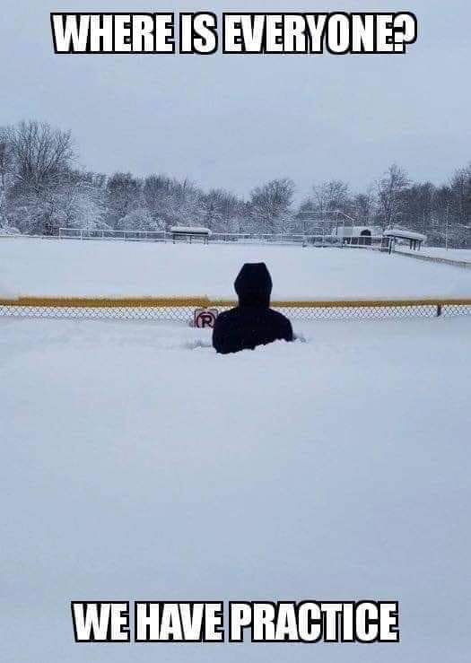 Grand Rapids Community College Softball tweet media