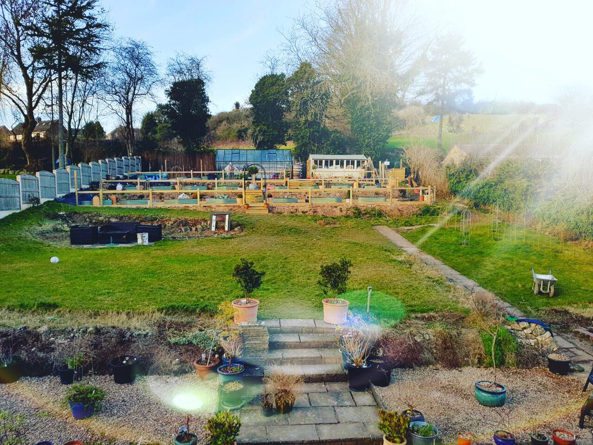 RobsAllotment photo