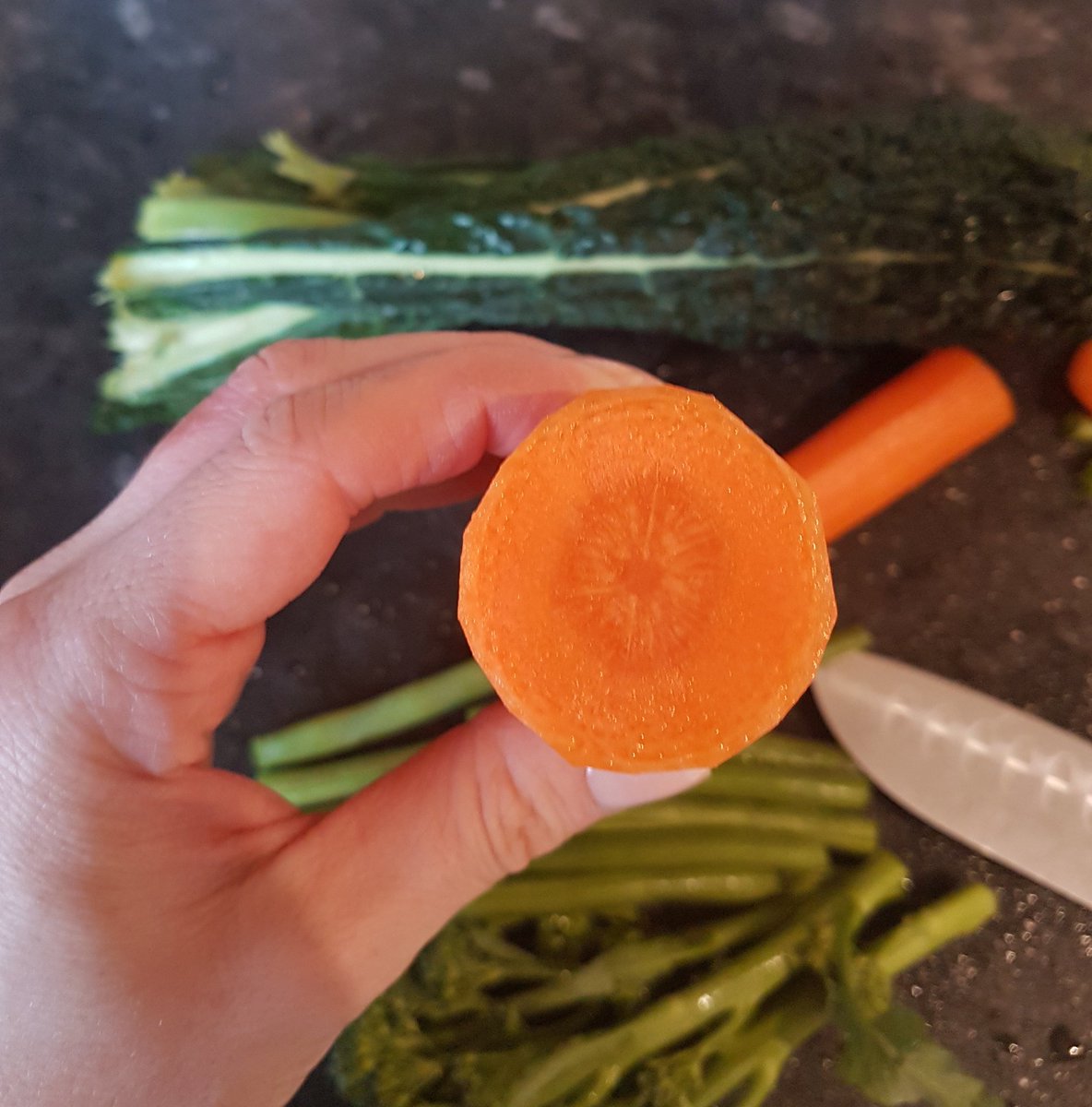 Every time I slice up a carrot for dinner all I think is xylem and phloem! 🤣
#Horticulture #xylem #phloem #transpiration #plantscience #horticulturestudent #vascularsystem #root