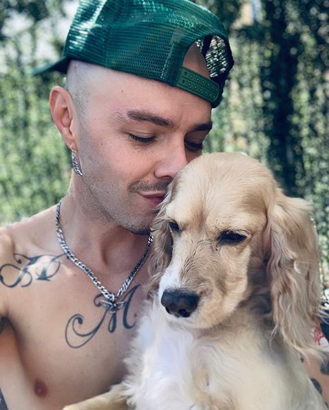 jesseyjoyesp's tweet photo. @solamentejoy @jesseavenue Cada RT #Aplee #Ramon #Mylo sienten que tocan el cielo con cada caricia 🐶🐱🐶
#Jesse #Joy #Adopta #LosAnimalesTeDanAlegria #NoAbandones #Perros #Gatos #NoMaltrato #LosAnimalesTeDanAmor #Animales #Cuidalos #FelizSábado #BuenFinde https://t.co/KCBgKM4nY0
