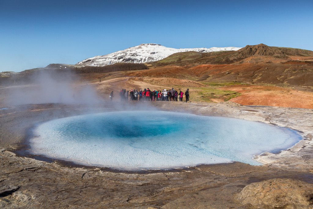 TravelConsult4u photo