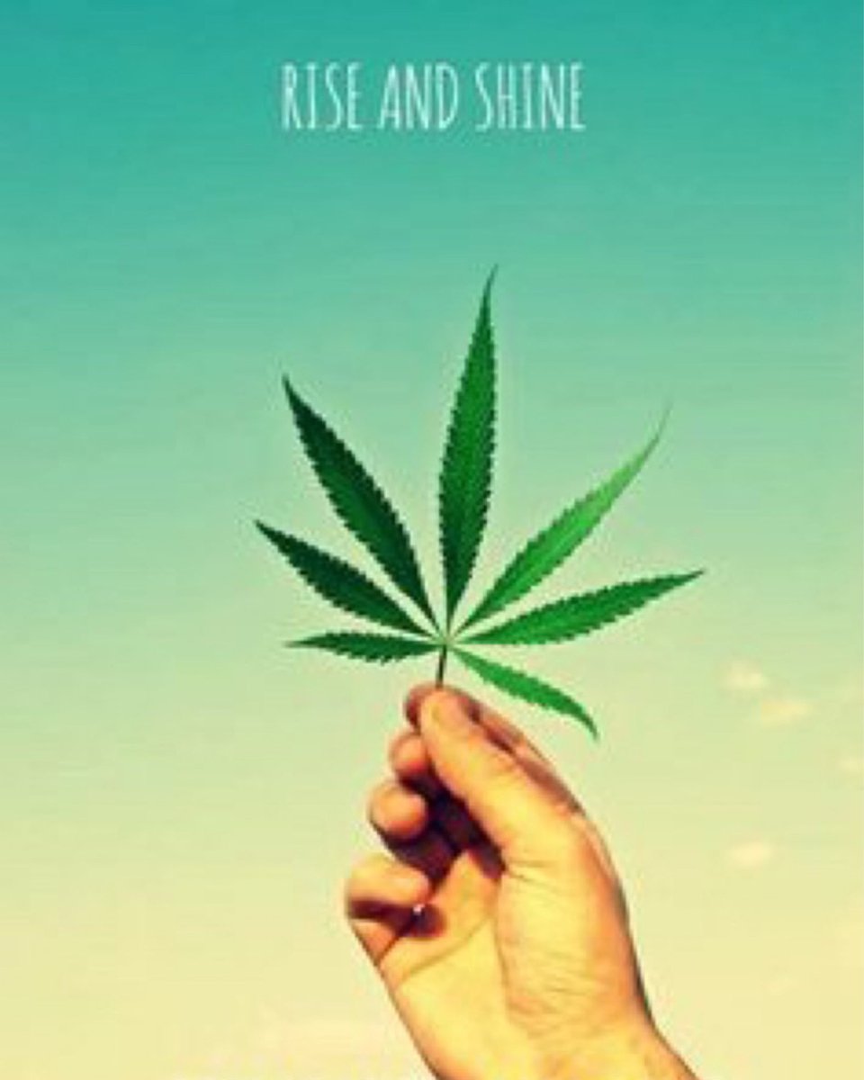 hemplotus's tweet image. 🌱 Rise And Shine 🌱

#hemp #marijuana #cbd #thc #weed #cannabis #hemplotus #ganja #cbdfacts #medicalmarijuana #edibles #instaweed #highthoughts #kush #stonedthoughts #maryjane #plantnotpills #cannabiscures