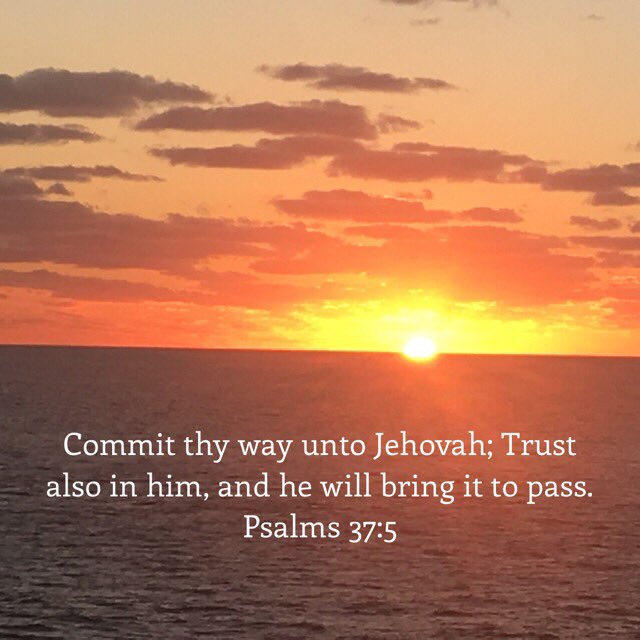 PamelaMorrison's tweet photo. https://t.co/NSIML8E6gW