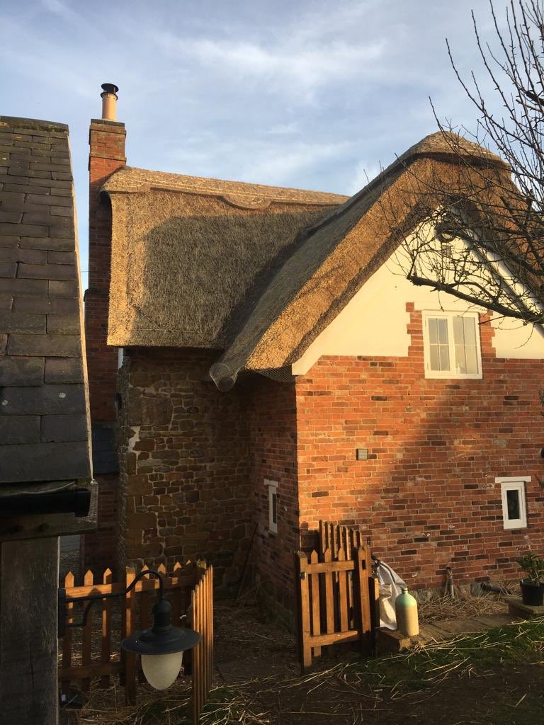 Long straw job completed this week by Stevens team.