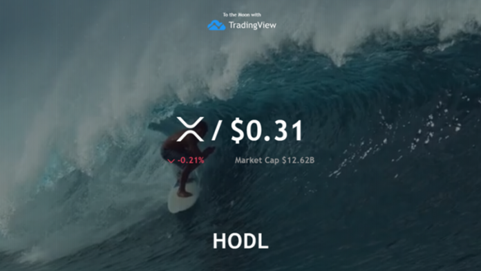 BerminalApp's tweet photo. TradingView Announces Launch of New Multi-Crypto Dashboard
https://t.co/U5rBttXSw2
#bitcoin #Blockchain #Crypto #news #economy #technology #cryptomarket #trading #tradingview #multicrypto https://t.co/IdtXhVeUxy