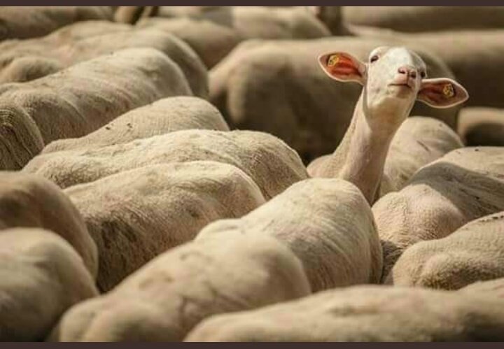Literally no one:
My mum: herh who's in the kitchen