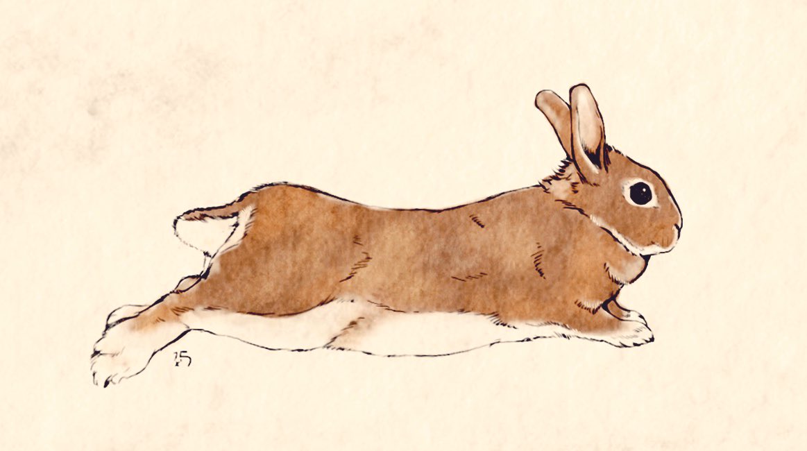 2月17日 尾と耳にオヤツダッシュへのやる気をあらわすうちのうさぎさんの絵 S 大賀一五 のイラスト 2月17日 尾と耳にオヤツダッシュへのやる気をあらわすうちのうさぎさんの絵 S 大賀一五 のイラスト