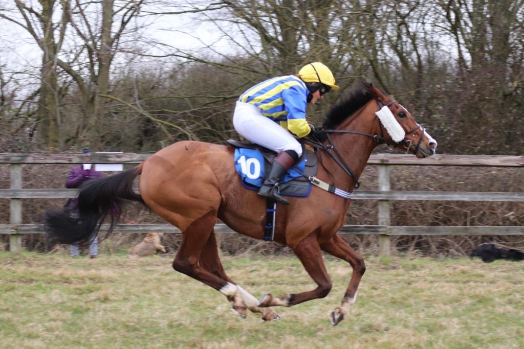 JPOwenRacing's tweet photo. Well done to Frankie Flinton for a great ride winning the ladies at #horseheath today on #lordtopper ! #winners #GoPointing #topteam #OneTeamOneDream 📸@RosieMCarey https://t.co/vKvYqgv0Nj