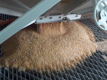 Ver imagen en Twitter