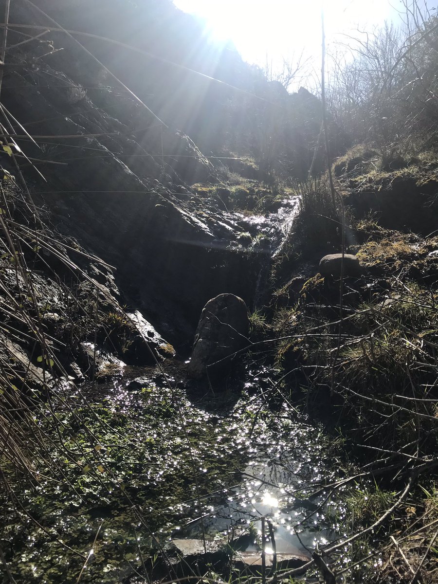 Agua que no has de beber... pues eso, misión cumplida, 16k y 960 positivos. #timetoeat 
⛰⛰⛰
#trailnutrium #montaña #nutriciondeportiva #entrenamiento #nutriumpfg #trailrunners #trailrunning #run #runner #trailrun #lavilla #larioja #conamigosmejor