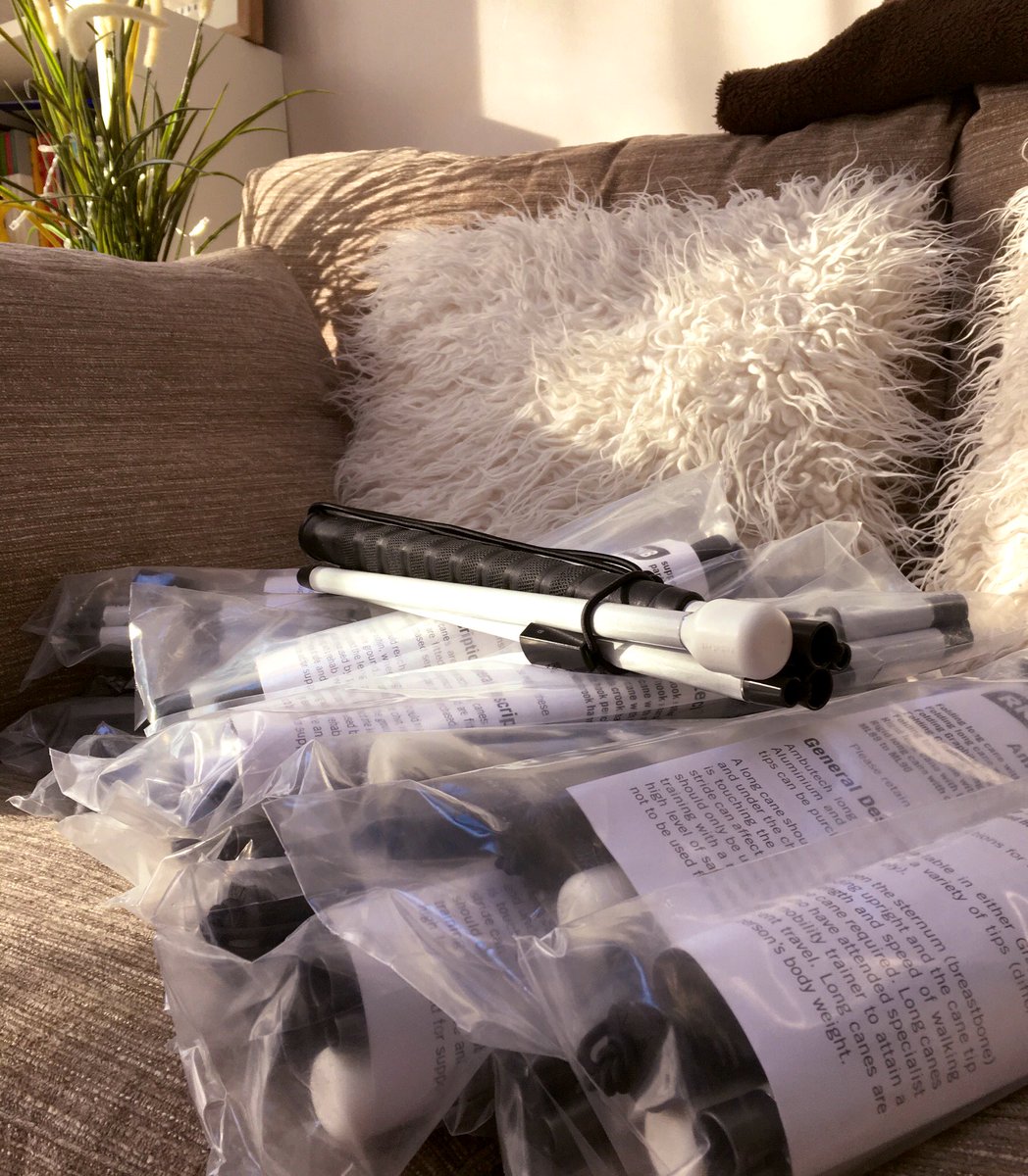 HarrisonFCarter's tweet photo. Thank you so much to my family, friends &amp; the City of Liverpool @lionsclubs in helping me to raise £500 to purchase long canes for the Milton Margai School for the Blind in Sierra Leone. I fly out tomorrow &amp; will give my very best to teach the children how to use them #Mobility https://t.co/iSfN1WbXcV