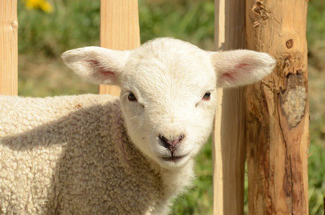 VisitDevon's tweet photo. February half term will soon be here!

It’s the first break of 2019 and many of Devon’s most popular attractions go all out for half term and the first one of the year is no exception!

Find out what's on:

🌟https://t.co/u9mxL7UgqC

#VisitDevon #LoveDevon #EventsinDevon https://t.co/T413vDoB4q