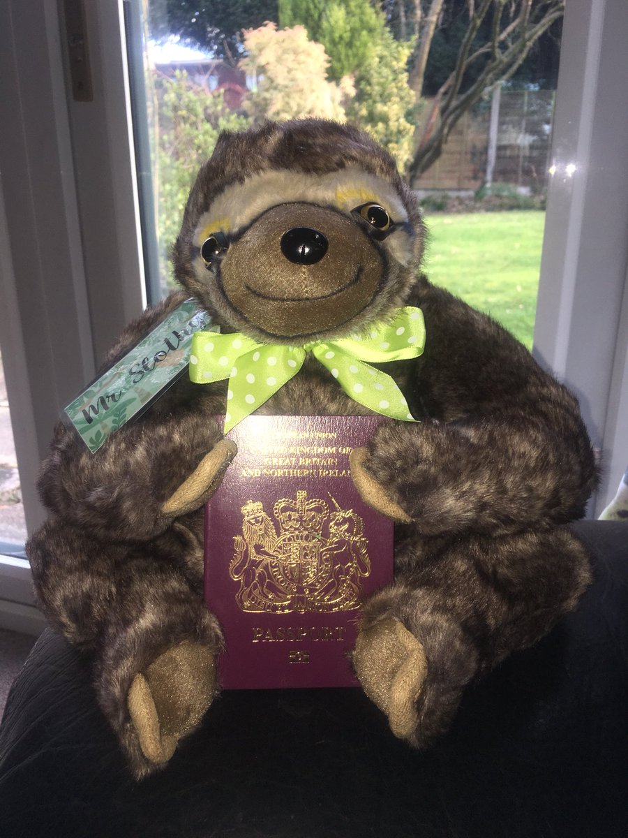 zacstributefund's tweet photo. Passport at the ready.....Slothy is off on tour, check in to see where he gets to!! 💚💚💚💚 @RMCHcharity @British_Airways #slothsunite #teamzac #mrslothy #charity #cbtrn https://t.co/jZW3qiKWYT