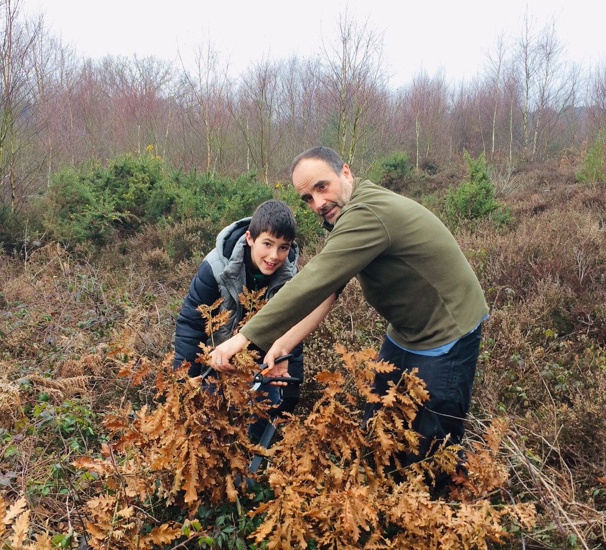 Loving the next generation of ecologists: removing invasive turkey oaks to protect rare heath lobelia flowers #wildlifeconservation #iwill4nature #youngecologists #wildflowers  #iwill #lovevolunteering