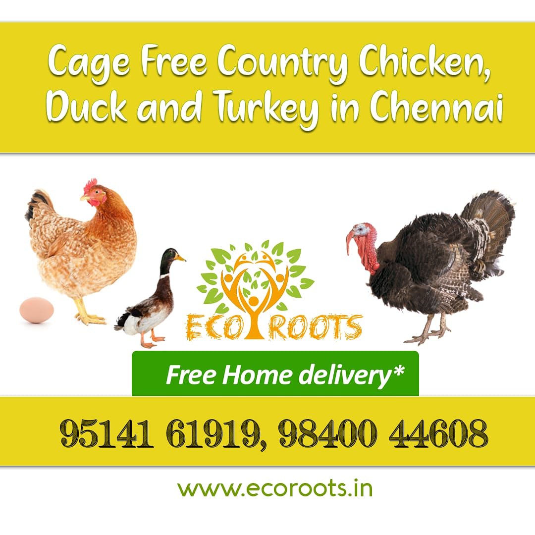 Cage Free Country Chicken, Duck and Turkey in Chennai, within 2 hours at your doorstep! Call 9514161919, 9840044608 for free delivery.

No Chemicals | Antibiotic free | No Preservatives

ecoroots.in

#AnnaNagar, #Vadapalani, #Kodambakkam #Kilpauk, #Perambur, #Kolathur