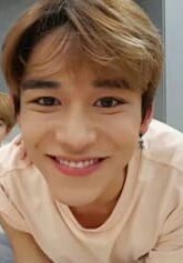 Minho cries loudly and Mingyu hyung directly hit my head, "You scared him you dumbo." Jiho noona giggles as she calms Minho down and I try once more. "Hello handsome boy" I smile and slowly approach him and he seems like okay with me now.