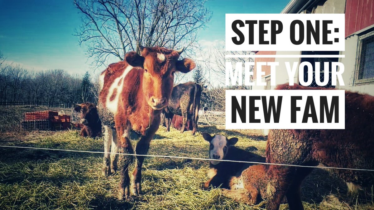 Gotta pick a farm Gotta pick a farm #buildgrowlearn youtu.be/e6vWG2Me8Pg
<a href="/AgOntario/">Central ON Ag Conference</a> <a href="/SustainOntario/">Sustain Ontario</a> <a href="/SmallFarming/">Living Country Life</a> <a href="/small_farming/">Small Farming</a> <a href="/OrganicsCanada/">Organic Consumers</a> <a href="/ChooseOrganic_/">ChooseCanadaOrganic</a> <a href="/SmallFarmCanada/">Small Farm Canada</a> <a href="/CusoIntl/">Cuso International</a> <a href="/sustainable/">Sustainable Cinema</a>