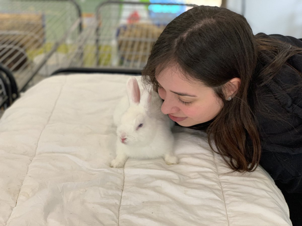 bunnysanctuary's tweet image. Pet rabbits are quick to pick up their owner’s feelings too #petrabbits #rabbitbehaviour #pettherapy