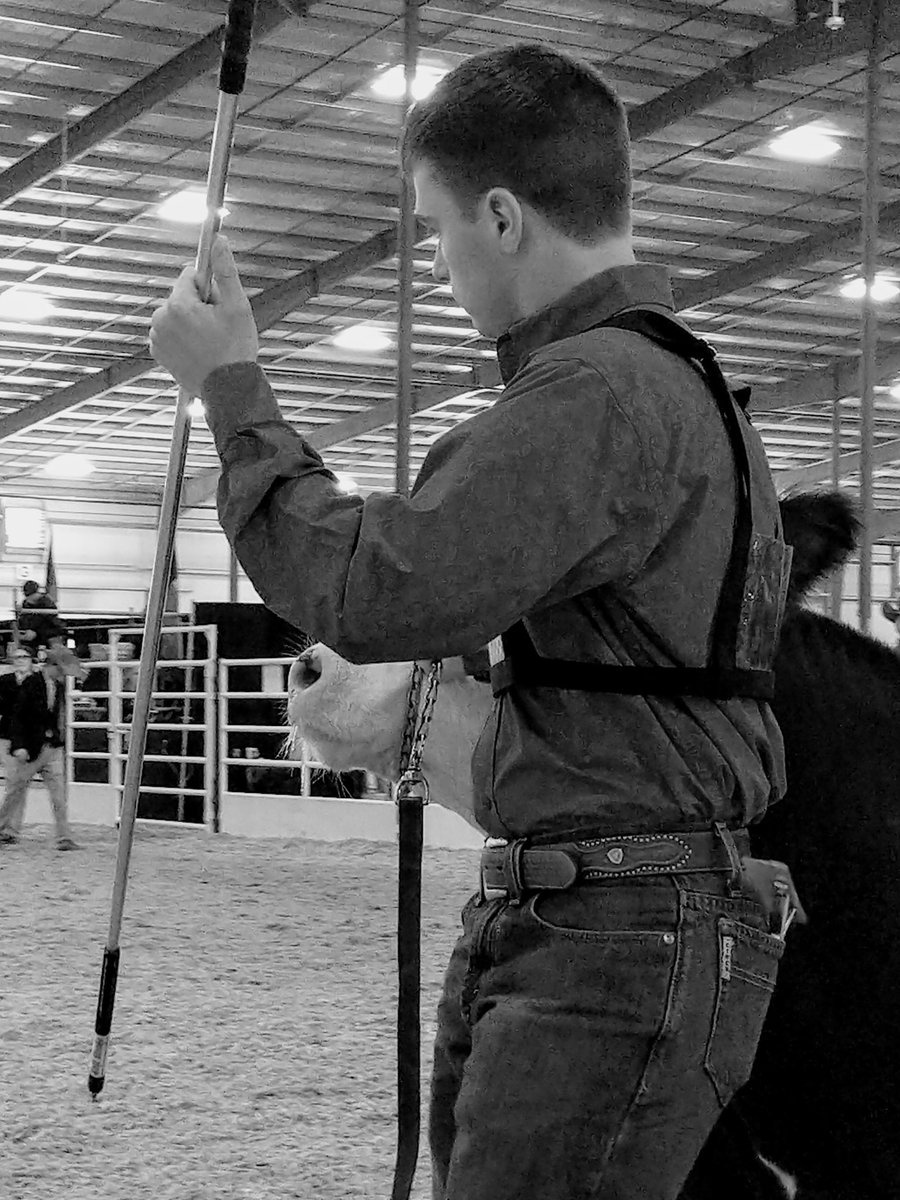 Ricebelt's tweet photo. Your officers took on the San Antonio Jr. breeding heifer show last week! https://t.co/r2i4IZt2zb