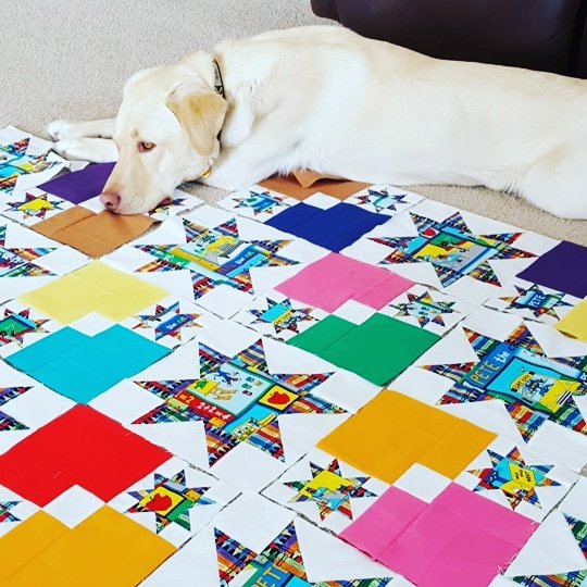 NHighby's tweet photo. Never fails... I always have help when I try to lay out a #quilt ... cats...dog...and child all love helping! Time to invest in a #designwall #lovemypetsπΎ #quiltingismytherapy #sewhappy https://t.co/YLw1rjAAhX